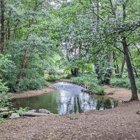 Maison Au Calme, 6 Voyageurs Riorges Εξωτερικό φωτογραφία